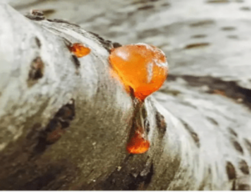 What is Resin material?